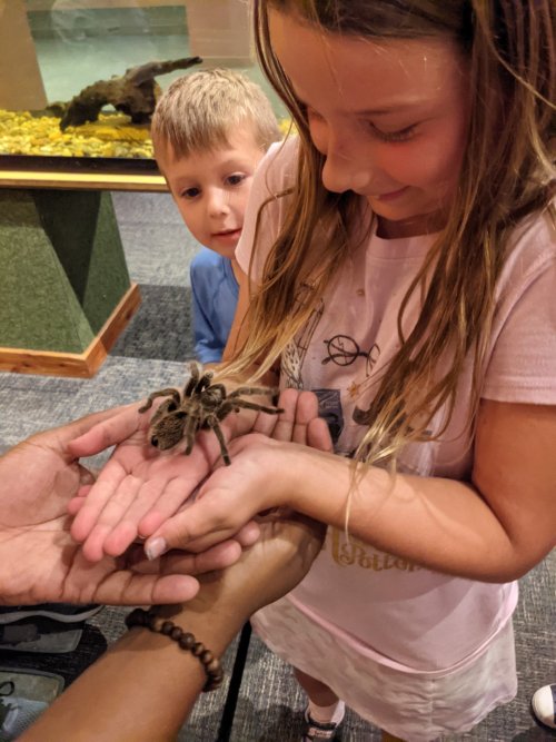 Spider Girl